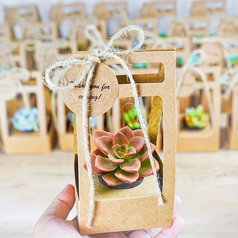 10Set Succulent Wrap Gift Bags - Flower Wrap Kraft recension och pris