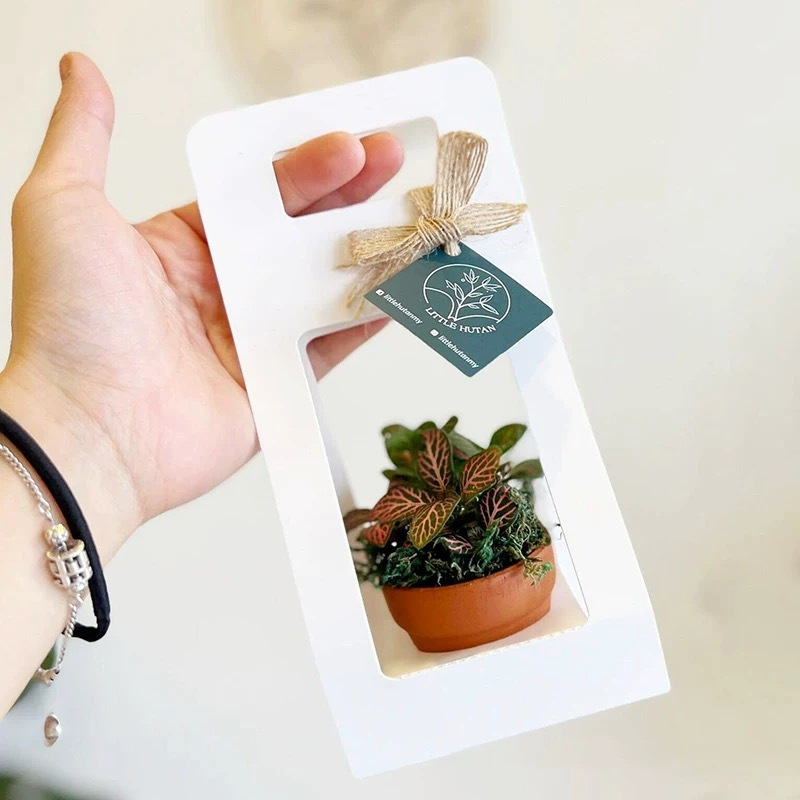 10Set Succulent Wrap Gift Bags - Flower Wrap Kraft recension och pris