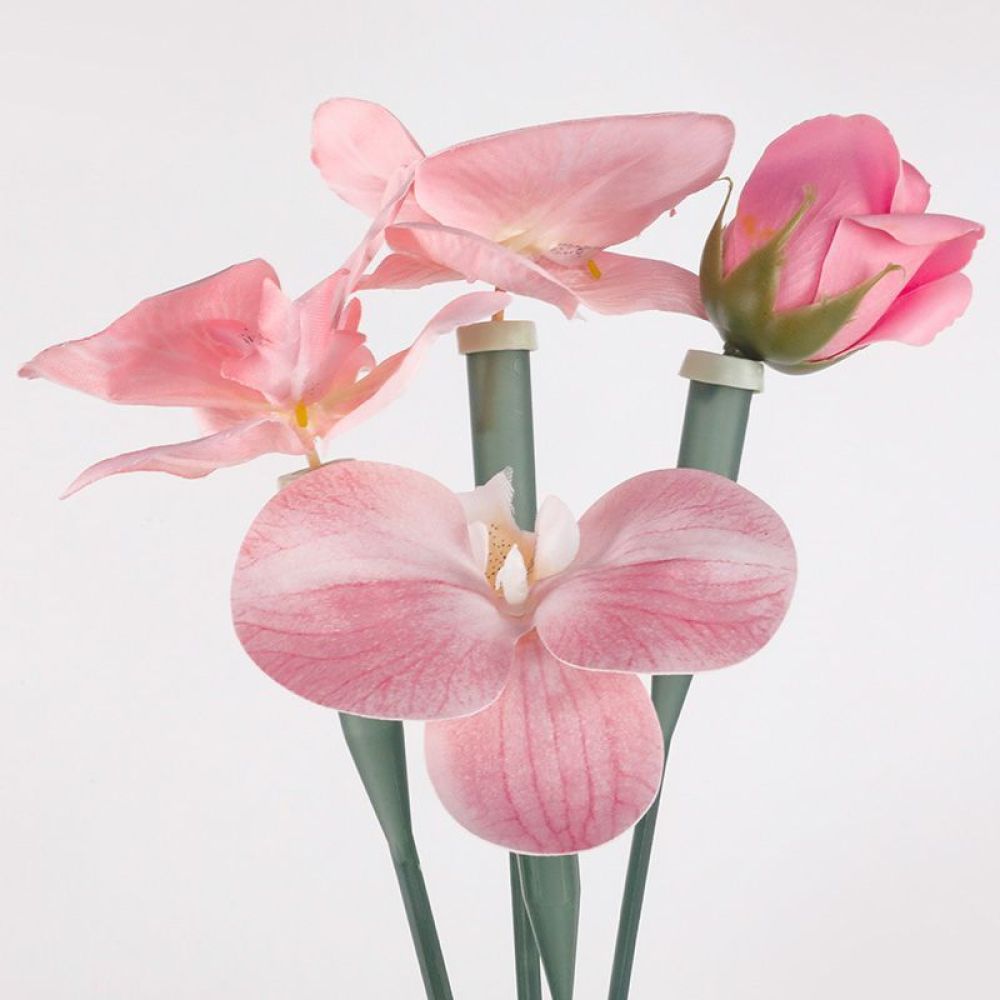 Floral Preservative Tubes Tran - Florist Supply Shop recension och pris